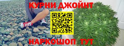 гидра Ливны